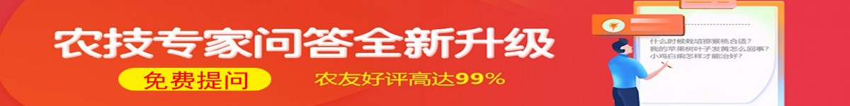 免费提问
